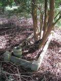 image of grave number 443887